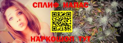 гашик Малоярославец