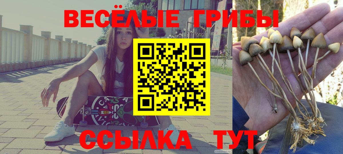 Псилоцибиновые грибы GOLDEN TEACHER Жигулёвск